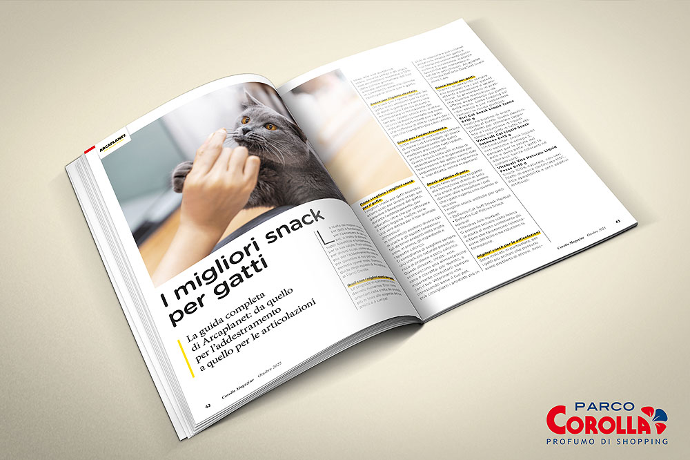 I migliori snack per gatti